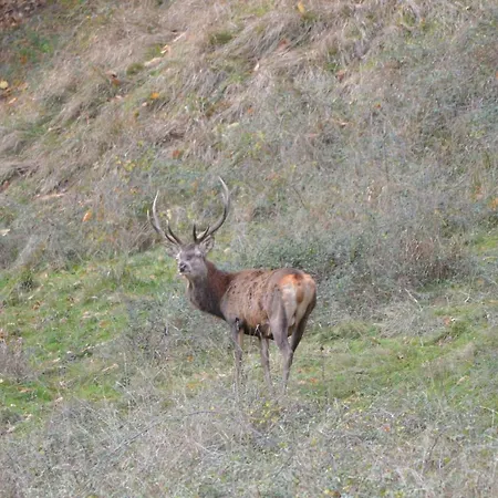 펜션 Legiteducerf *