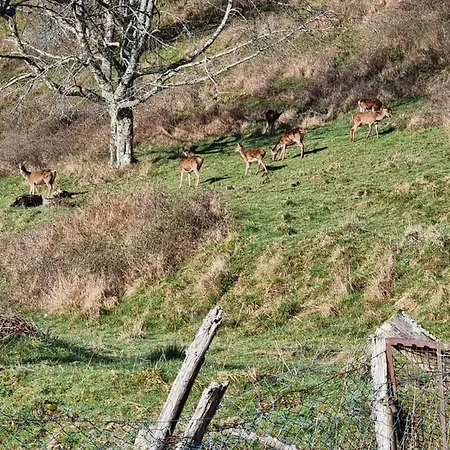 Legiteducerf 펜션 Sengouagnet