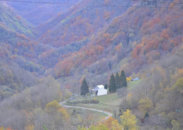 Legiteducerf * Sengouagnet