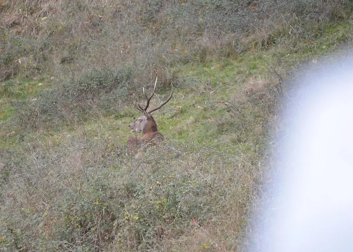 Legiteducerf Сasa de vacaciones