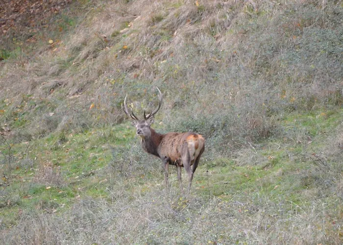 Сasa de vacaciones Legiteducerf *