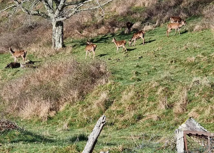 Legiteducerf 度假居 Sengouagnet