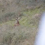 Legiteducerf 度假居