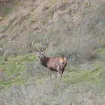 度假居 Legiteducerf *