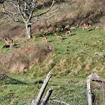 Legiteducerf 度假居 Sengouagnet